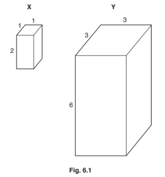 Measuring size and calculating magnification