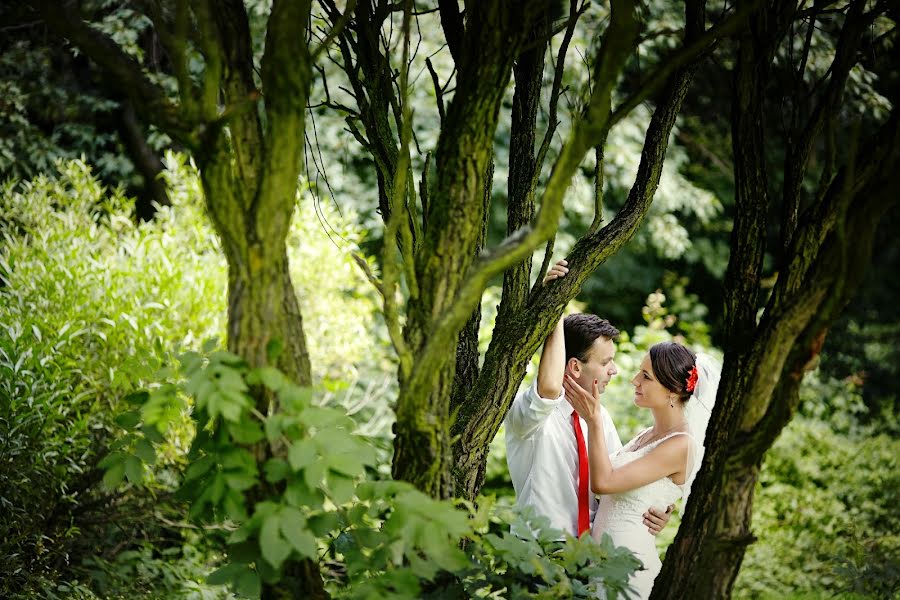 Fotógrafo de bodas Marcin Fryze (fryze). Foto del 10 de febrero 2014