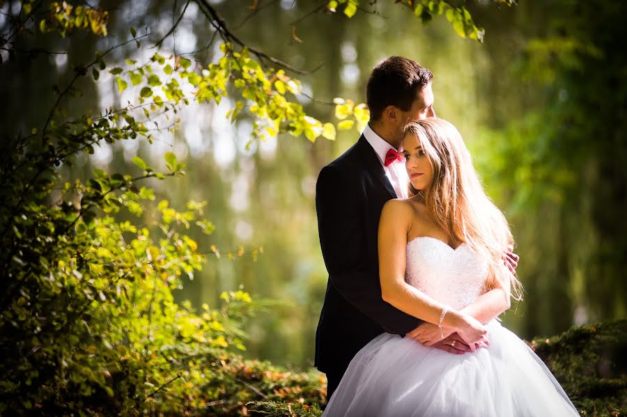 Photographe de mariage Sławomir Panek (slawomirpanek). Photo du 3 novembre 2015