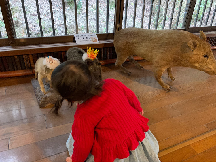 の投稿画像3枚目