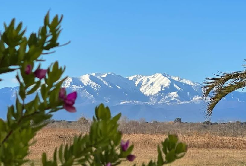  Vente Terrain + Maison - Terrain : 300m² - Maison : 82m² à Prades (66500) 