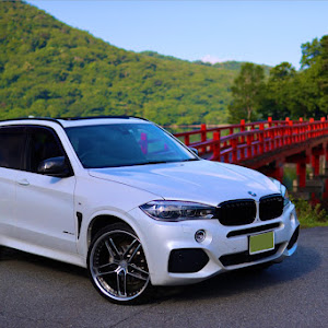 X5 F15