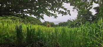 terrain à batir à Le marigot (972)