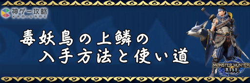 毒妖鳥の上鱗