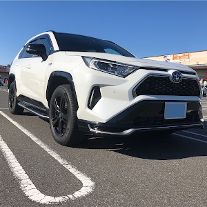 RAV4 AXAP54