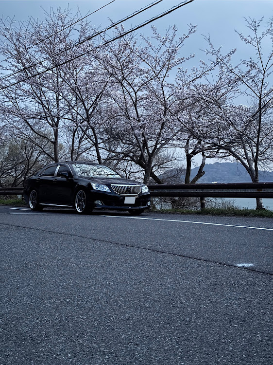 クラウンマジェスタの桜と愛車・黒塗りセダン・黒の美学・黄砂まみれに関するカスタム事例の投稿画像1枚目