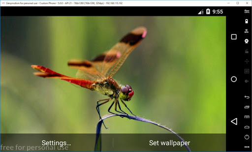 Ladybug 3D Live Wallpaper