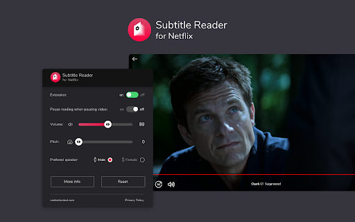Subtitle Reader for Netflix