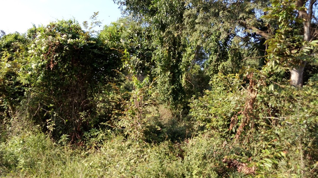 Rumah Bumi Mutiara Wanayasa