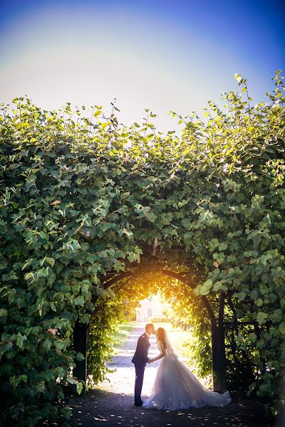 Wedding photographer Vladimir Danilov (ifotoyou). Photo of 19 January 2016