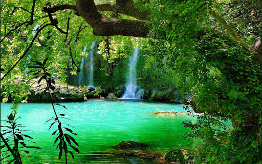 Waterfall Forest HD Wallpaper