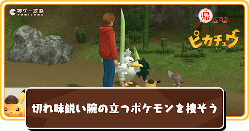 切れ味鋭い腕の立つポケモンを捜そうの受注場所と攻略チャート