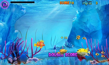 Feeding frenzy online free play no download