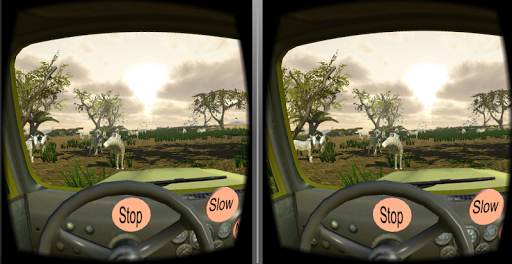 VR Safari