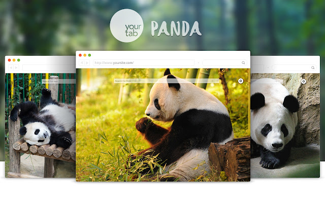 Your Panda tab!