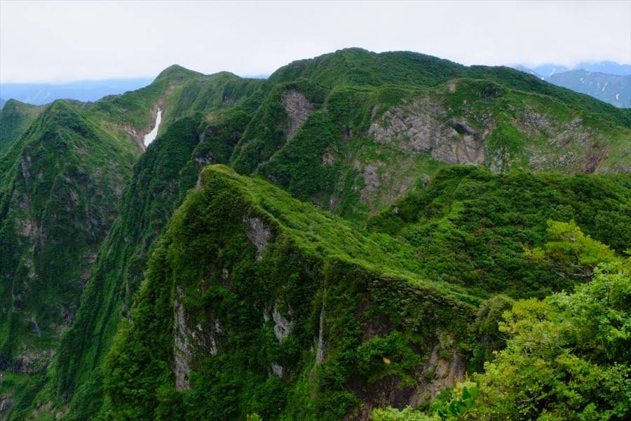 浅草岳 登山 六十里登山口 腹痛と新潟ゴム麺とヒメサユリが群生する峰 毎日やっほっほ亭