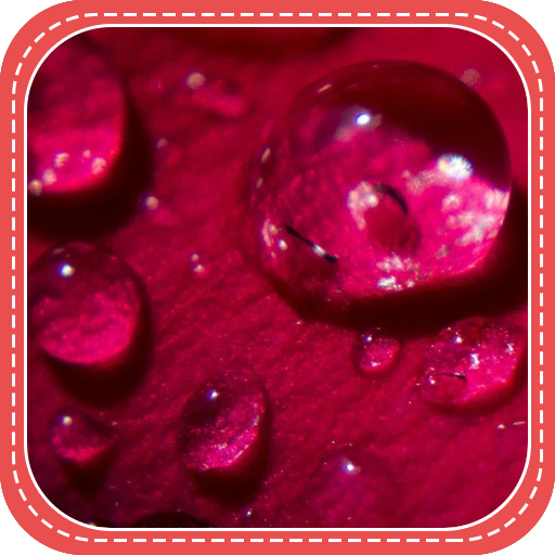 This is a Red Rose Petals 個人化 App LOGO-APP開箱王