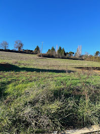 terrain à Rabastens (81)