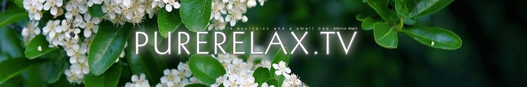 PureRelax.TV Banner