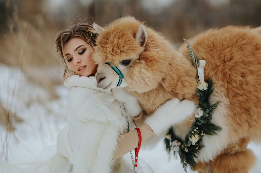 Wedding photographer Hakan Erenler (hakan). Photo of 19 February 2018