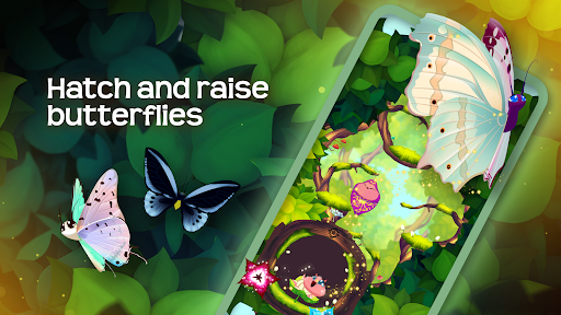 Screenshot Flutter: Butterfly Sanctuary