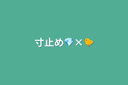 寸止め💎×🐤