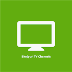 Cover Image of 下载 Bhojpuri TV Channels 1.8 APK