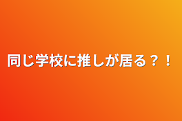 同じ学校に推しが居る？！