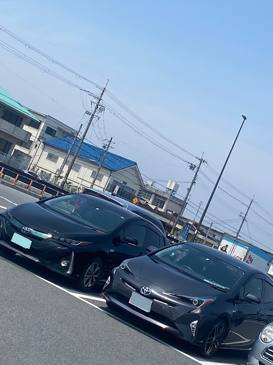 プリウスの西国三十三所観音霊場ドライブ・車が好きな人と繋がりたい・仏像でかい！！！に関するカスタム事例の投稿画像7枚目