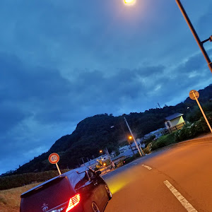 ヴェルファイア GGH20W