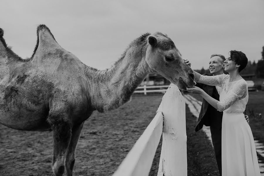 Fotograf ślubny Evgeniya Batysheva (b-bee). Zdjęcie z 25 lipca 2019