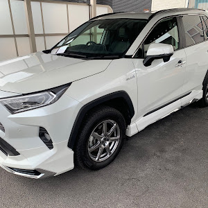 RAV4 AXAH54