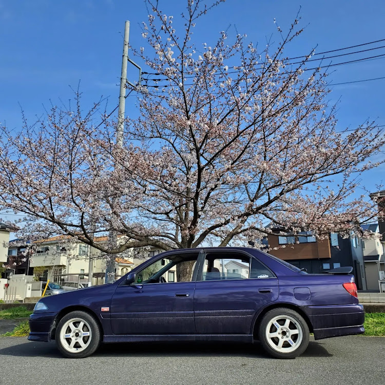 カリーナのTE37・VOLKRACING・白ホイールはいいぞ・桜と愛車・桜とコラボに関するカスタム事例の投稿画像3枚目
