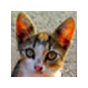 Kitten Overload! Chrome extension download