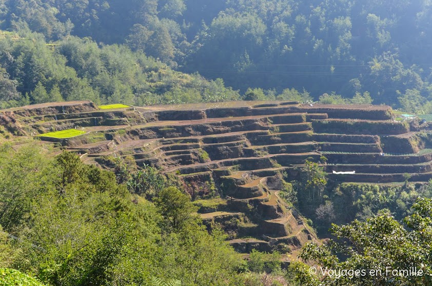 Banaue main viewpoint - 