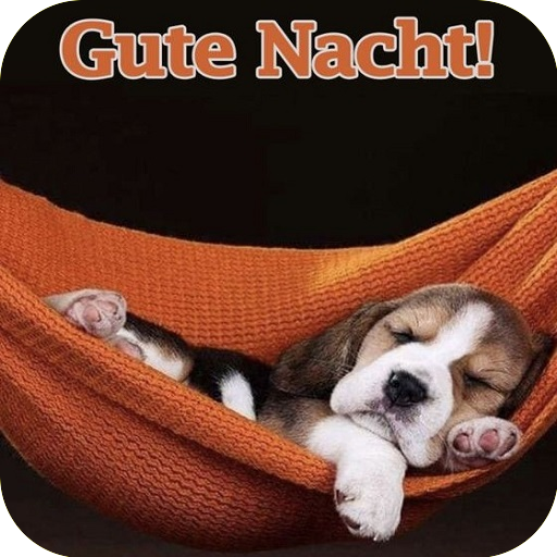 Gute Nacht Bilder