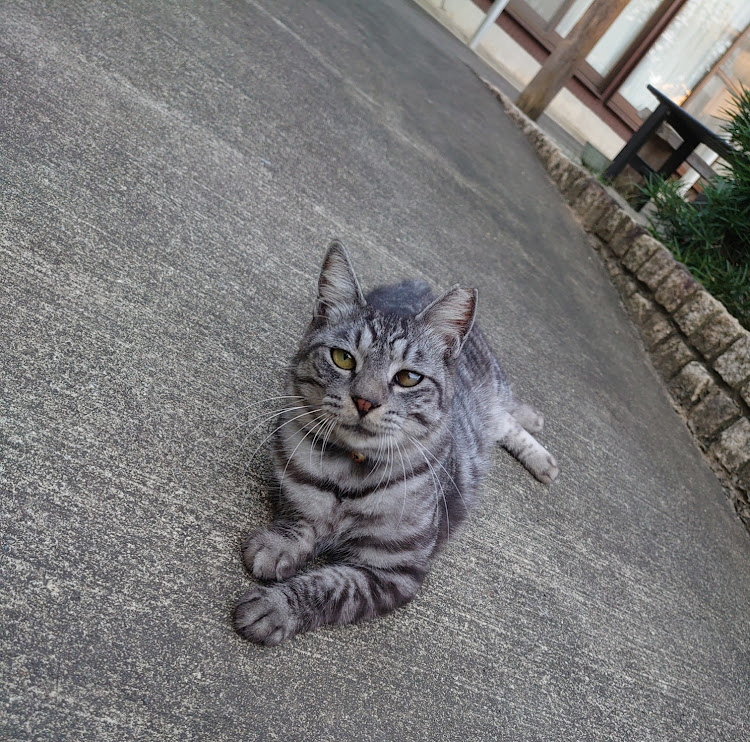 N-ONEのてつやんさんが投稿したカスタム事例の投稿画像6枚目