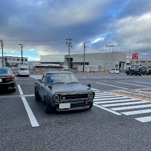 サニートラック