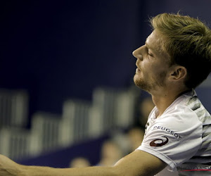 Nieuwe jaar start in mineur voor Goffin: exit in tweede ronde in Qatarese Doha