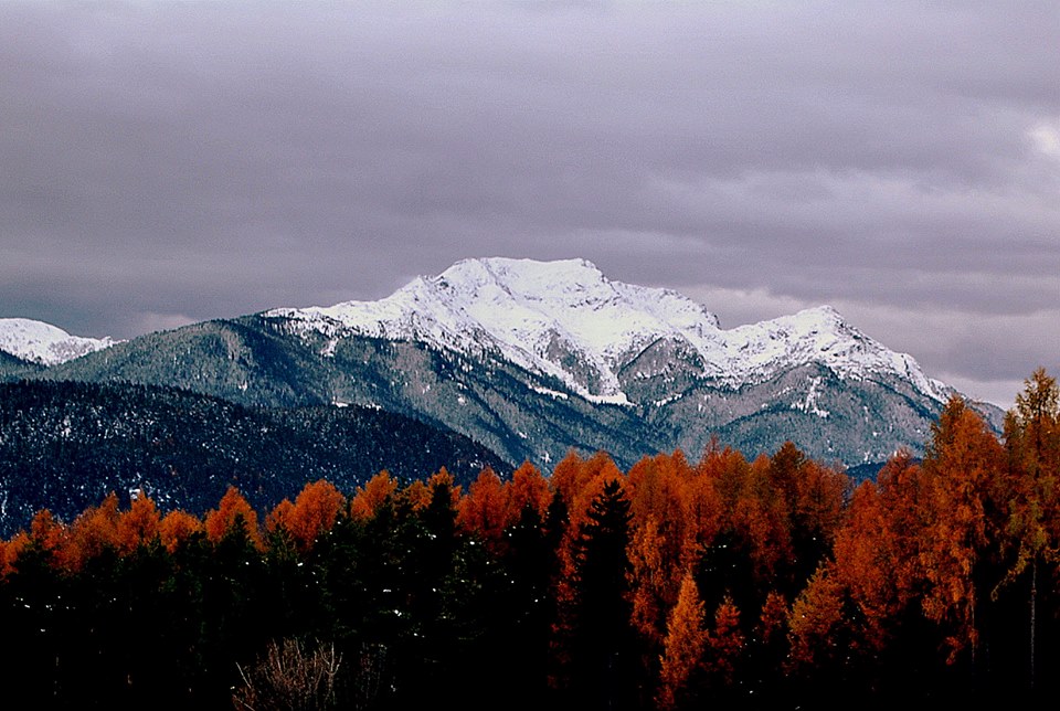 Generale Inverno di Francesca Demichei