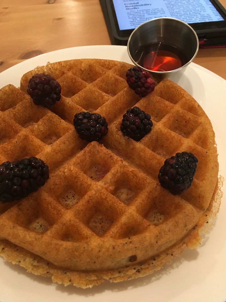 Lemon poppyseed waffle