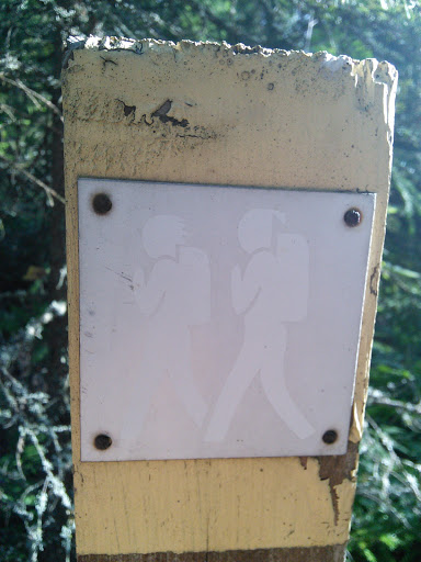 Hikers