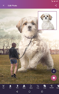 Pixomatic photo editor Screenshot
