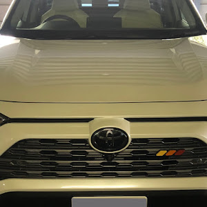 RAV4 MXAA54