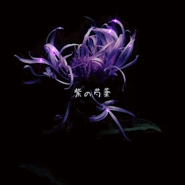 紫の芍薬