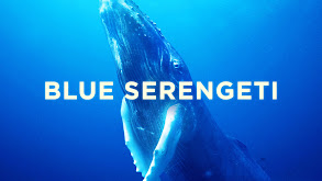 Blue Serengeti thumbnail