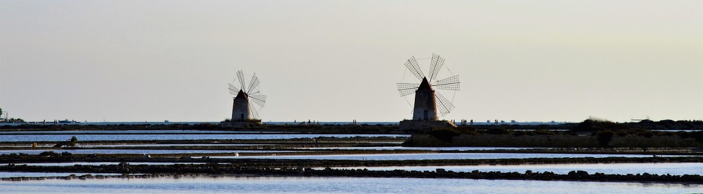 In linea? Saline-a ... di Il Barone