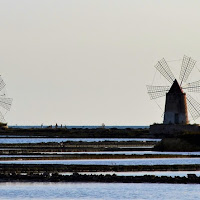 In linea? Saline-a ... di 