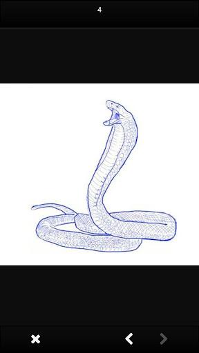 Draw Animals Step by Step