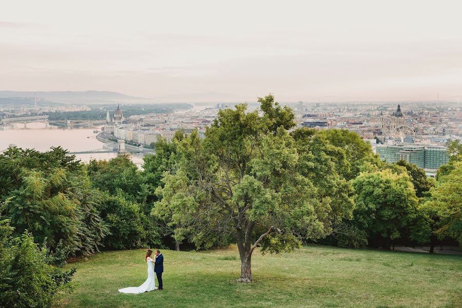 Fotógrafo de casamento Katarína Žitňanská (katarinazitnan). Foto de 31 de outubro 2017